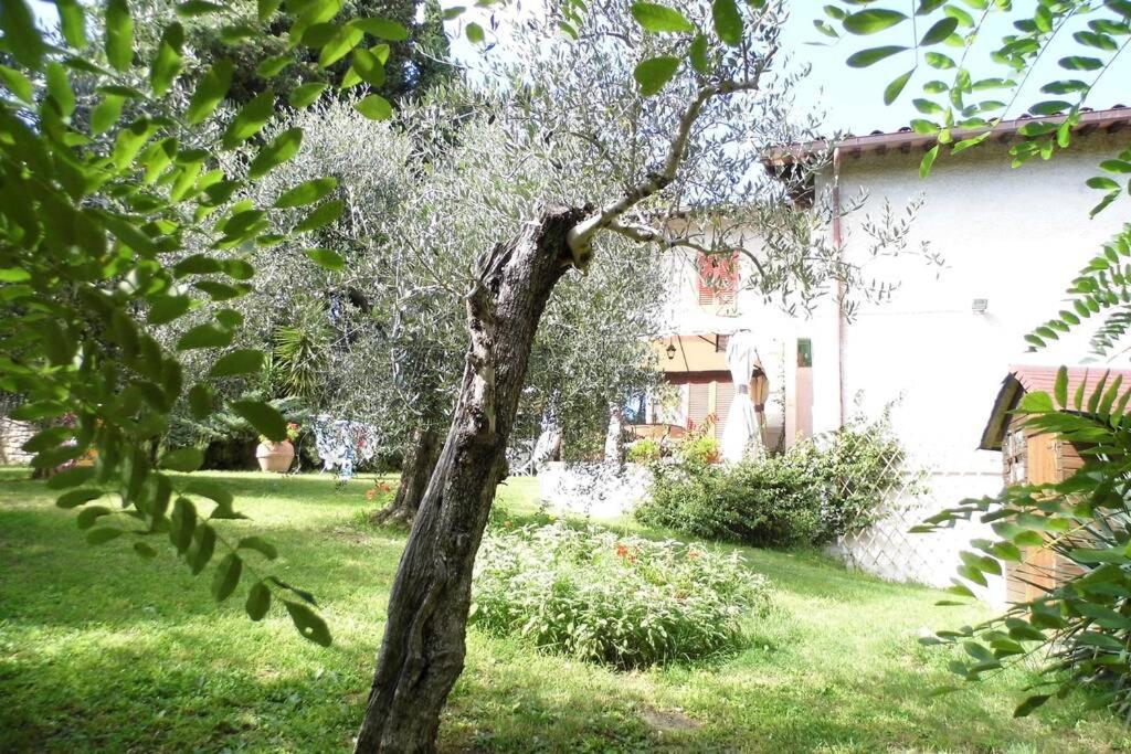 Campagna Toscana Presso Terme Apartment Lari Екстериор снимка